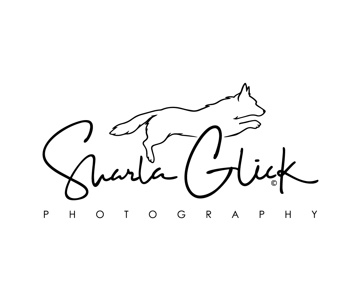 Design de Logo par Adi Graphics pour ce projet | Design #37687100