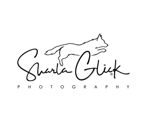 Design de Logo par Adi Graphics pour ce projet | Design : #37687100