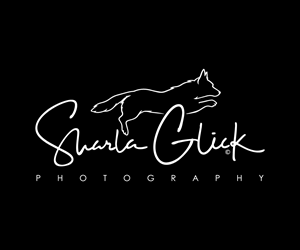 Design de Logo par Adi Graphics pour ce projet | Design : #37687101
