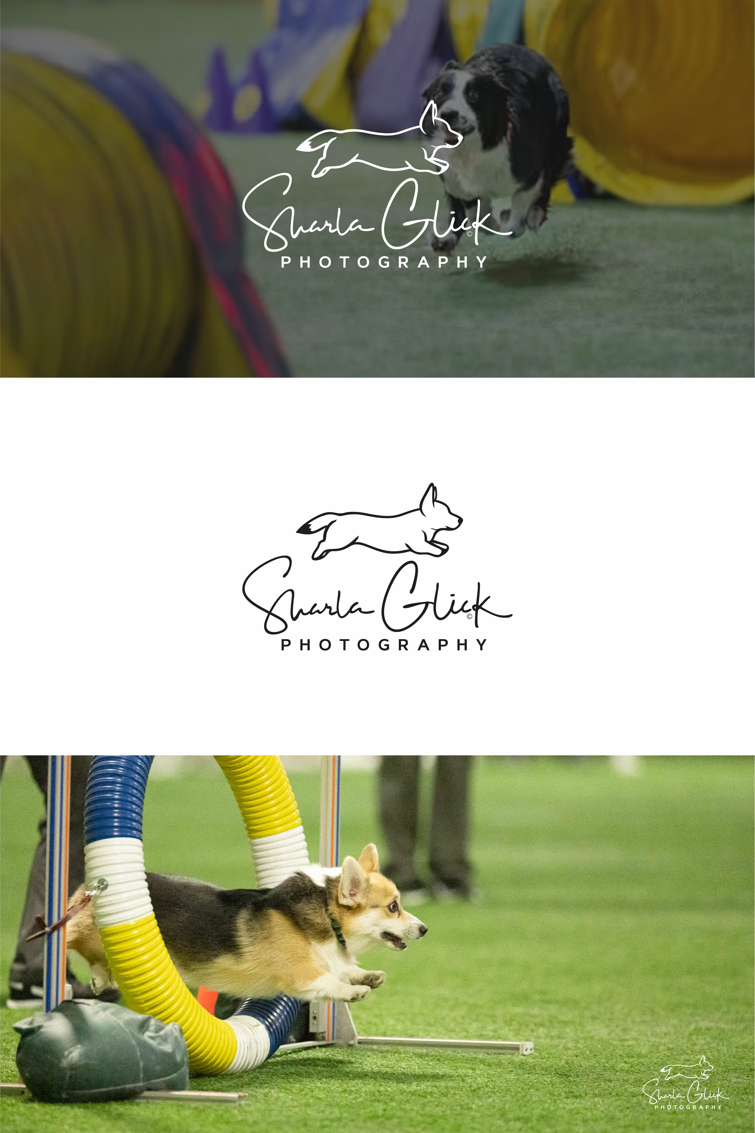 Design de Logo par melzh pour ce projet | Design #37686748