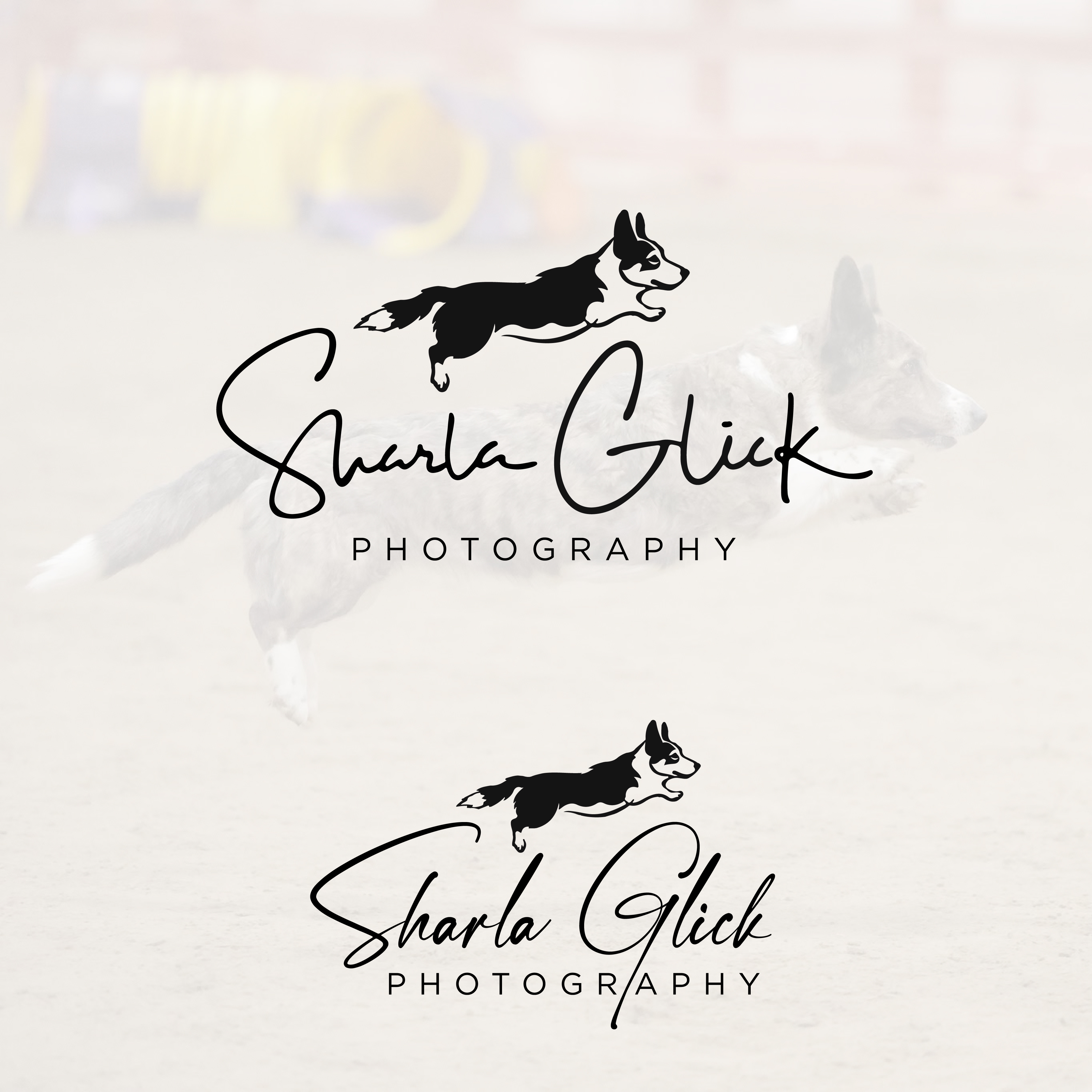 Logo Design by Designer Nayem for this project | Design #37690057