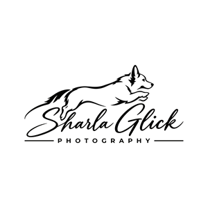 Design de Logo par pusing pour ce projet | Design : #37687834