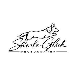 Design de Logo par pusing pour ce projet | Design : #37687845