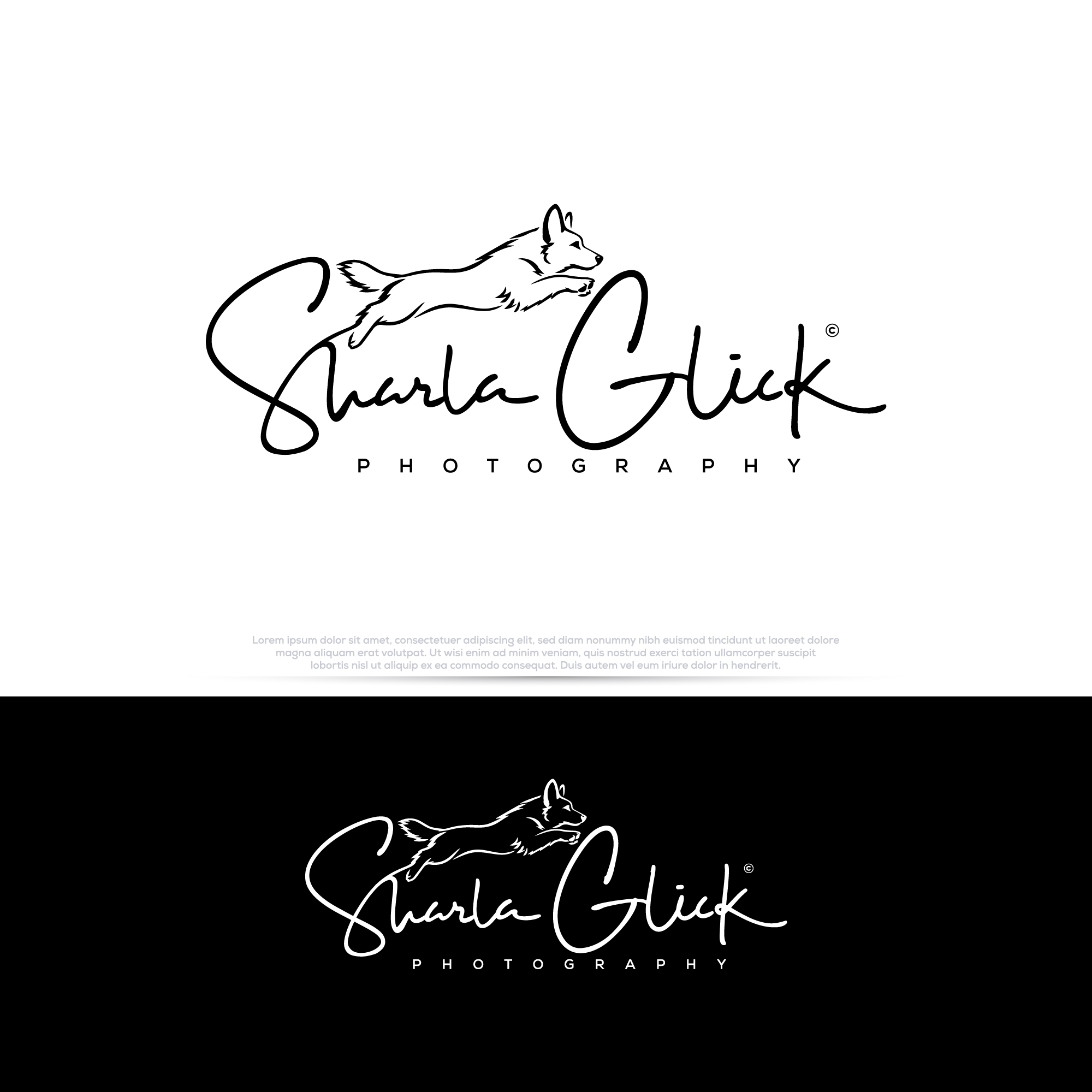 Logo Design by InkPilot_Studio™ for this project | Design #37686807