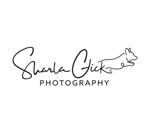 Logo Design by Logotruck for this project | Design: #37697518