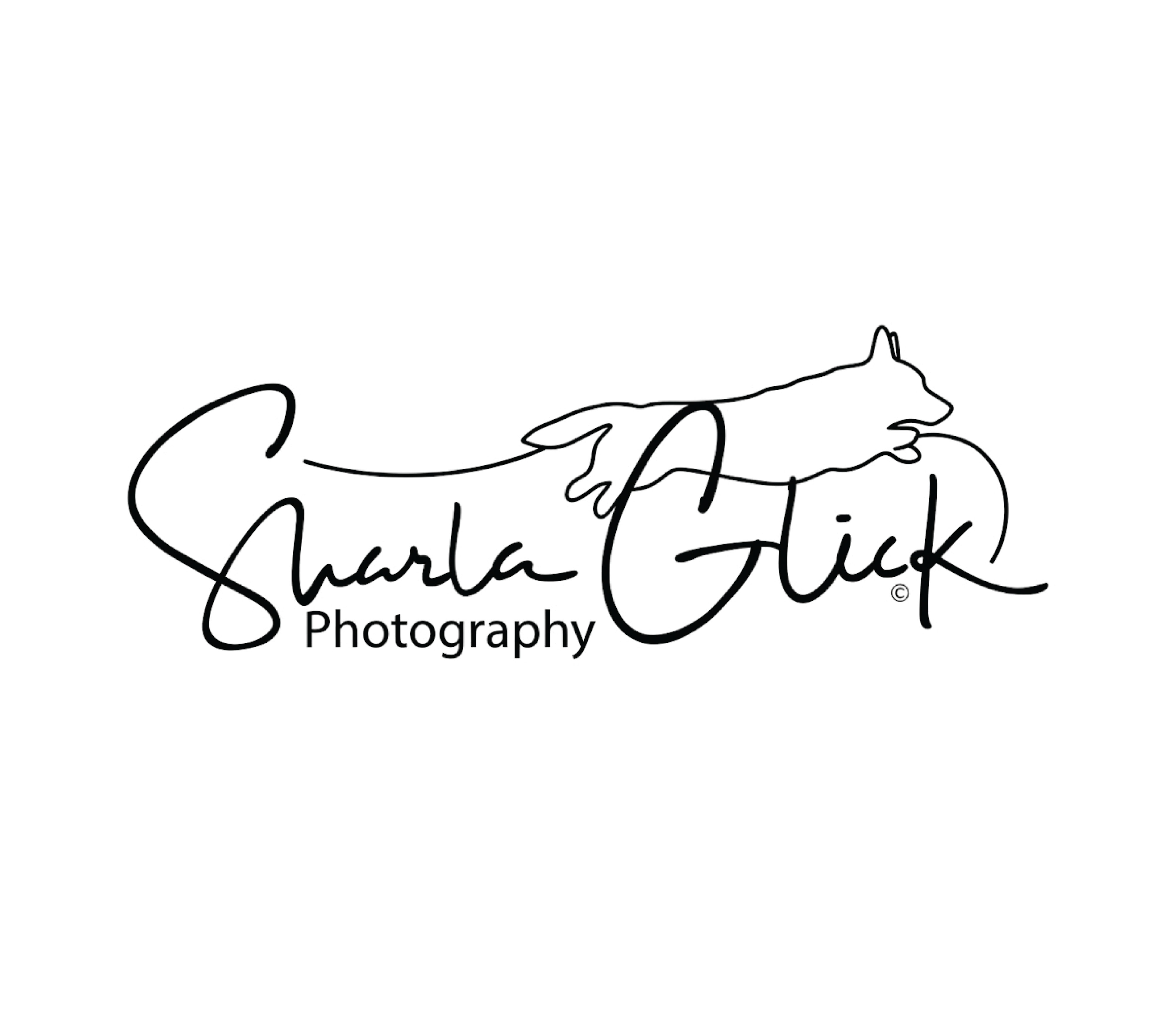 Logo Design by Logotruck for this project | Design #37697519