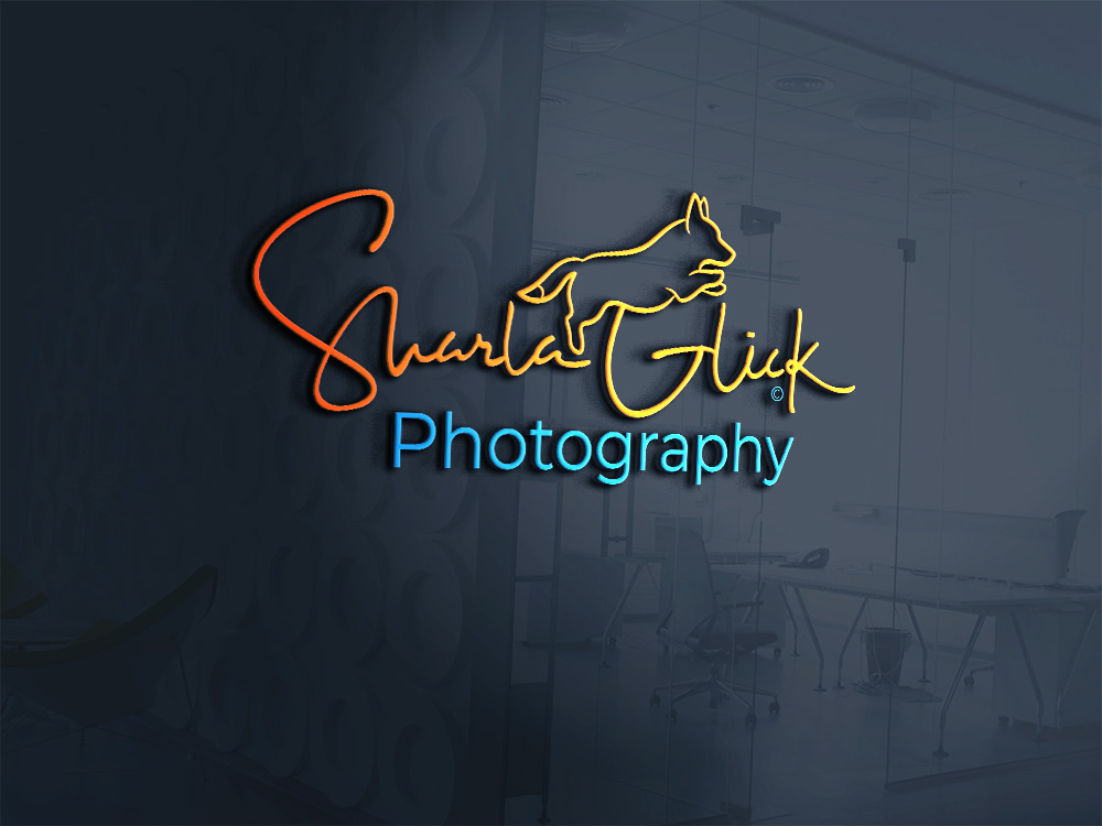 Design de Logo par Raul Jimenez pour ce projet | Design #37697812