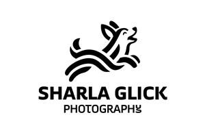 Design de Logo par Fredericm pour ce projet | Design : #37688155