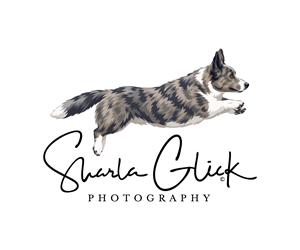 Design de Logo par PixelIron pour ce projet | Design : #37690323