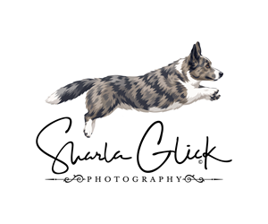 Design de Logo par PixelIron pour ce projet | Design : #37690436