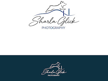 Design de Logo par Usmaan4 pour ce projet | Design #37691395