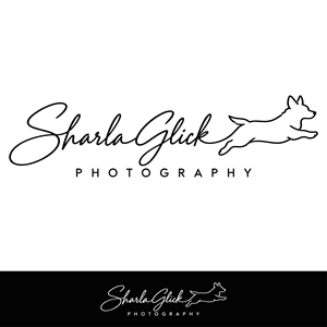 Design de Logo par GreenBoys pour ce projet | Design : #37689280