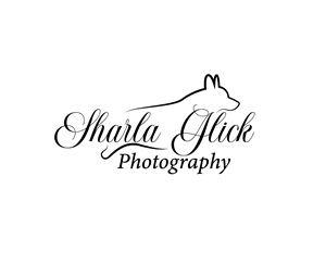 Logo Design by Asif  Maqsood for this project | Design: #37688013