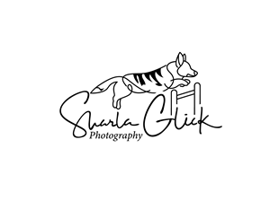 Logo Design by Asif  Maqsood for this project | Design: #37688015