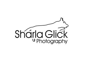Logo Design by Asif  Maqsood for this project | Design: #37696051