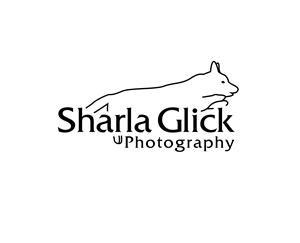 Logo Design by Asif  Maqsood for this project | Design: #37696053