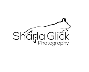 Logo Design by Asif  Maqsood for this project | Design: #37699409