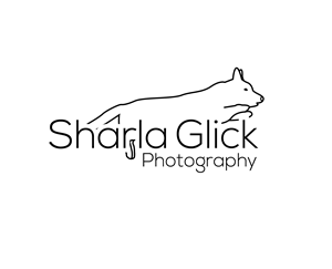Logo Design by Asif  Maqsood for this project | Design: #37699410