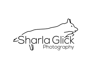 Logo Design by Asif  Maqsood for this project | Design: #37705423