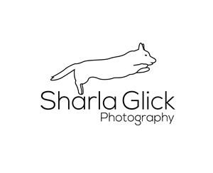 Logo Design by Asif  Maqsood for this project | Design: #37705424
