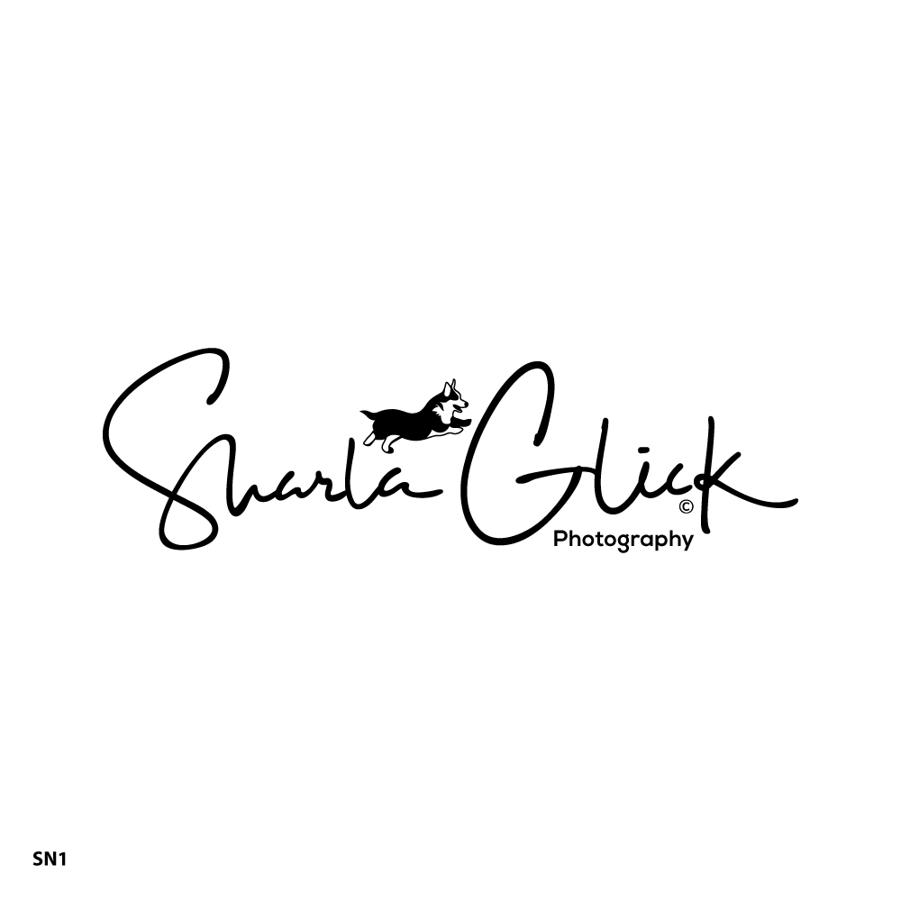Design de Logo par Sujit Banerjee pour ce projet | Design #37687791