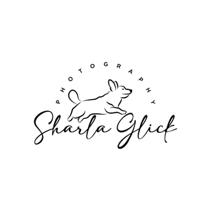 Design de Logo par LAXMI DESIGNHUB pour ce projet | Design : #37692799