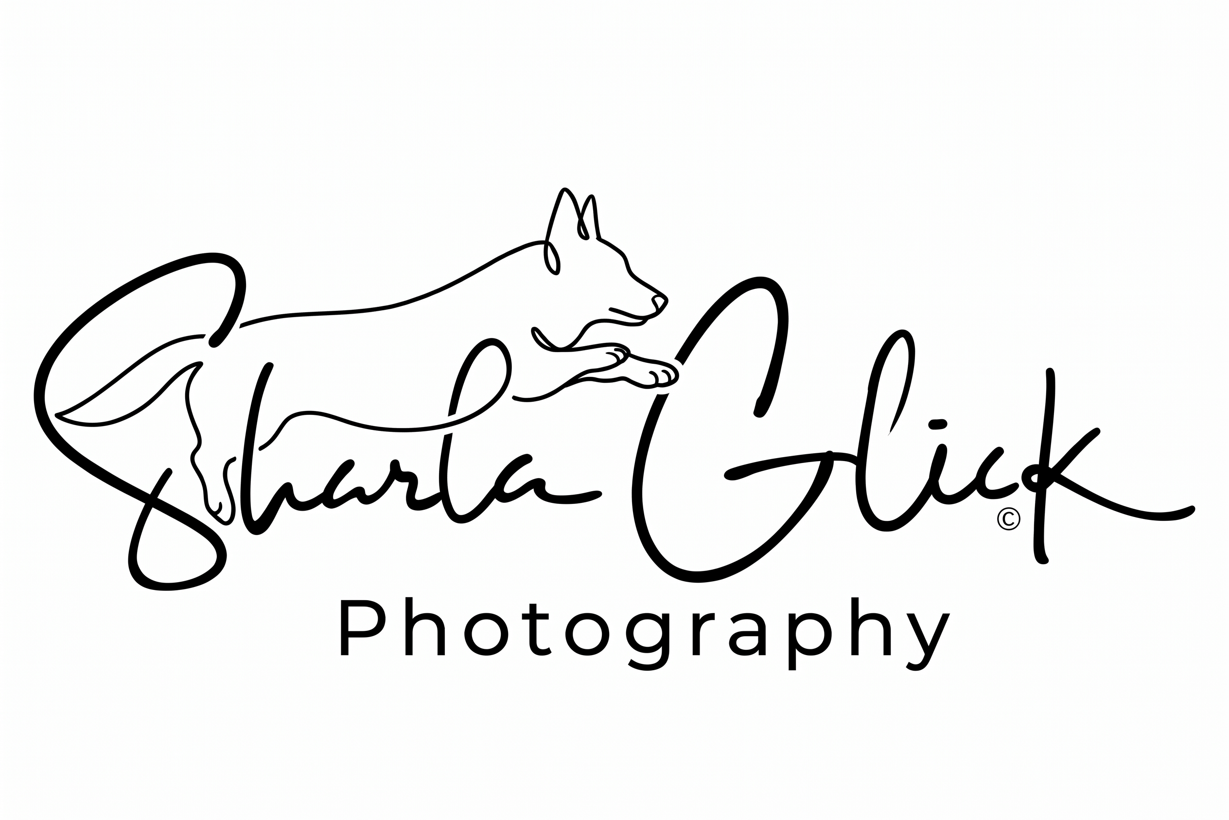 Design de Logo par aneskayirt pour ce projet | Design #37686266