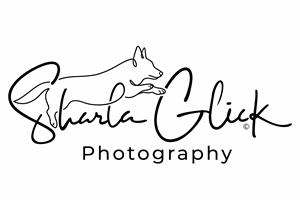 Design de Logo par aneskayirt pour ce projet | Design : #37686266