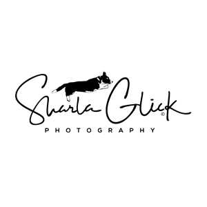Design de Logo par geni pour ce projet | Design #37698999