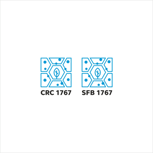 Logo Design by SHEULY for this project | Design: #37684574