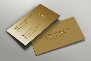 Business Card Design by LAXMI DESIGNHUB for this project | Design: #37688028
