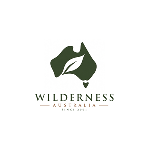 Logo Design by A K A S H