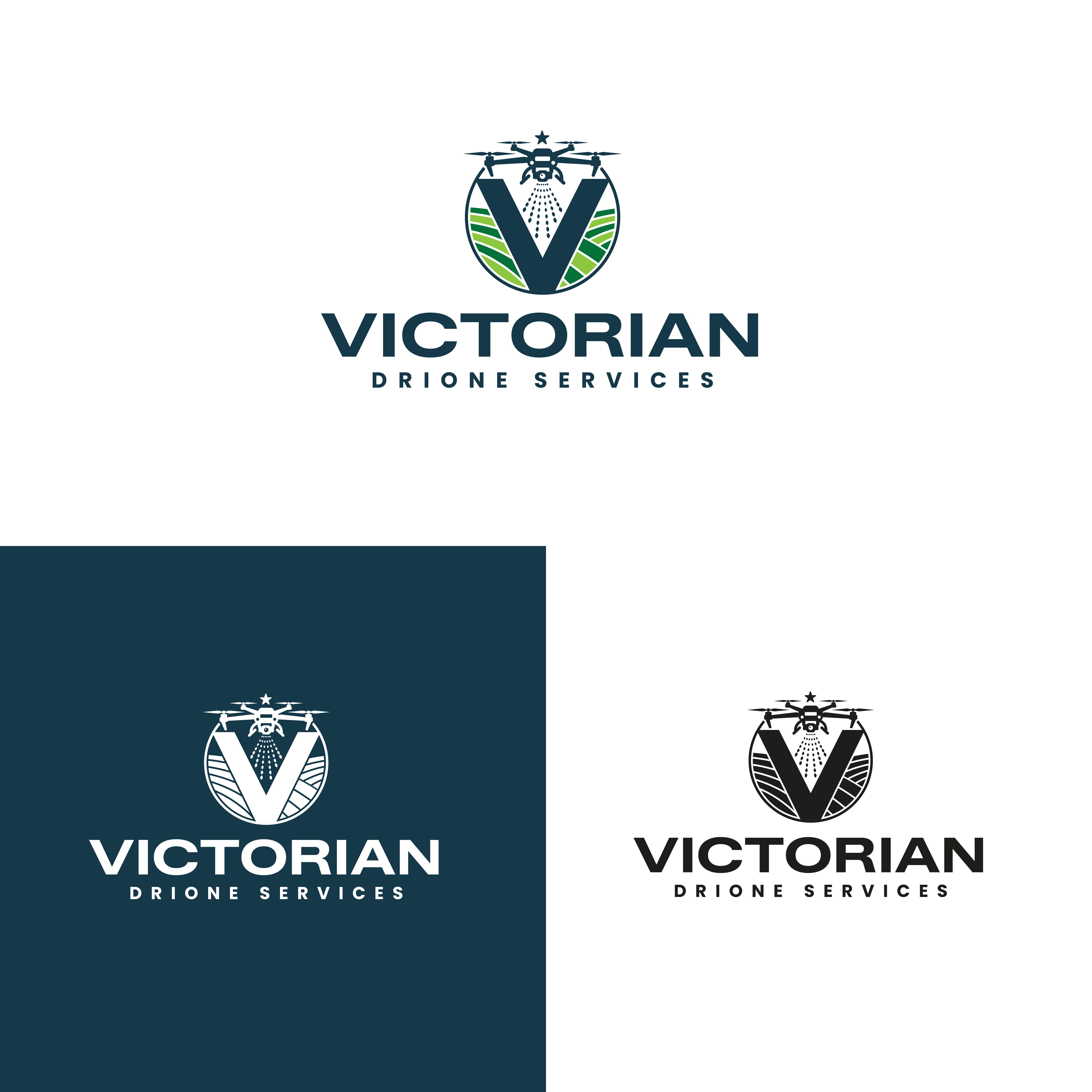Logo Design by the3kings for this project | Design #37706973