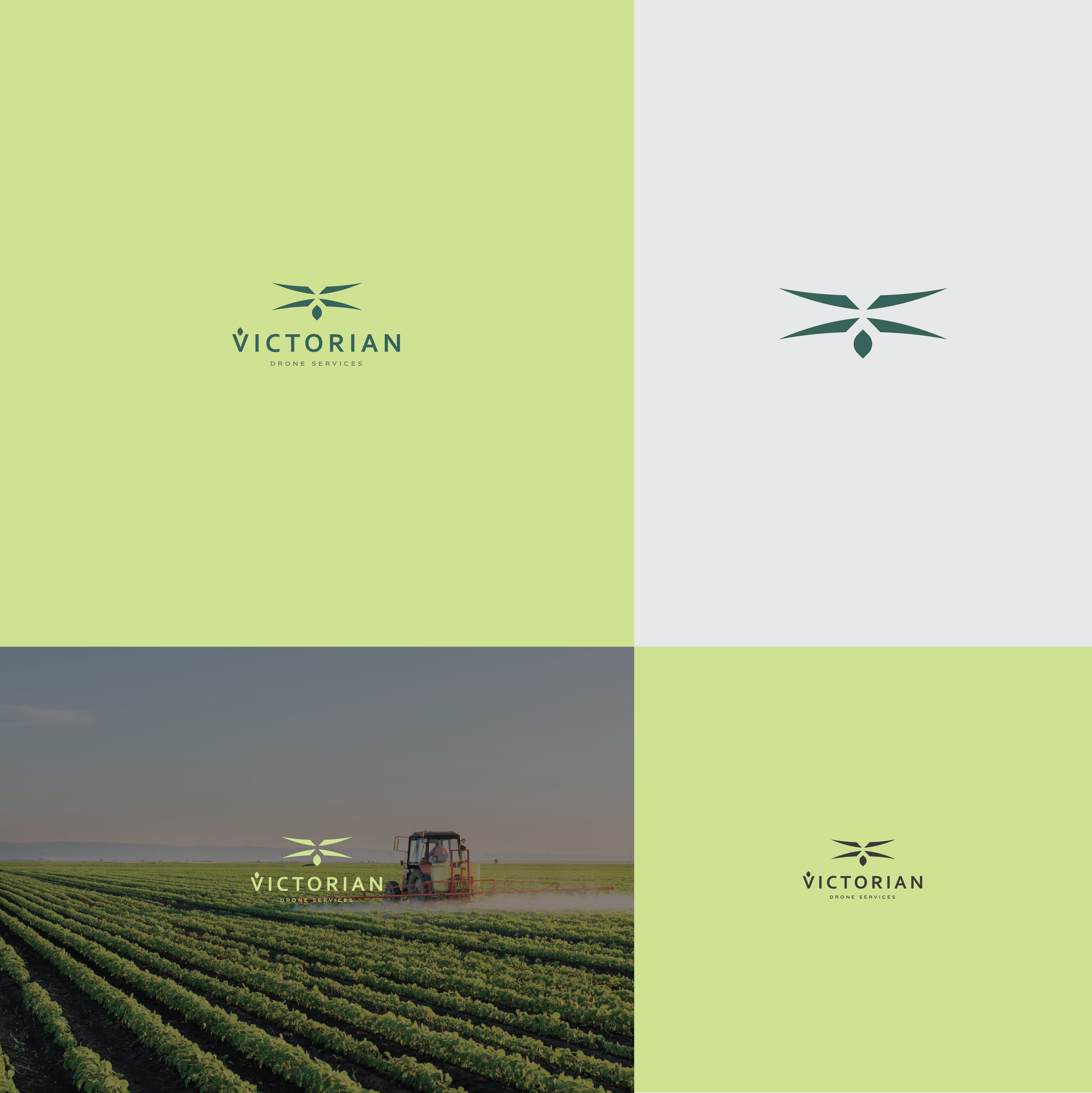 Logo Design by dumx for this project | Design #37702629