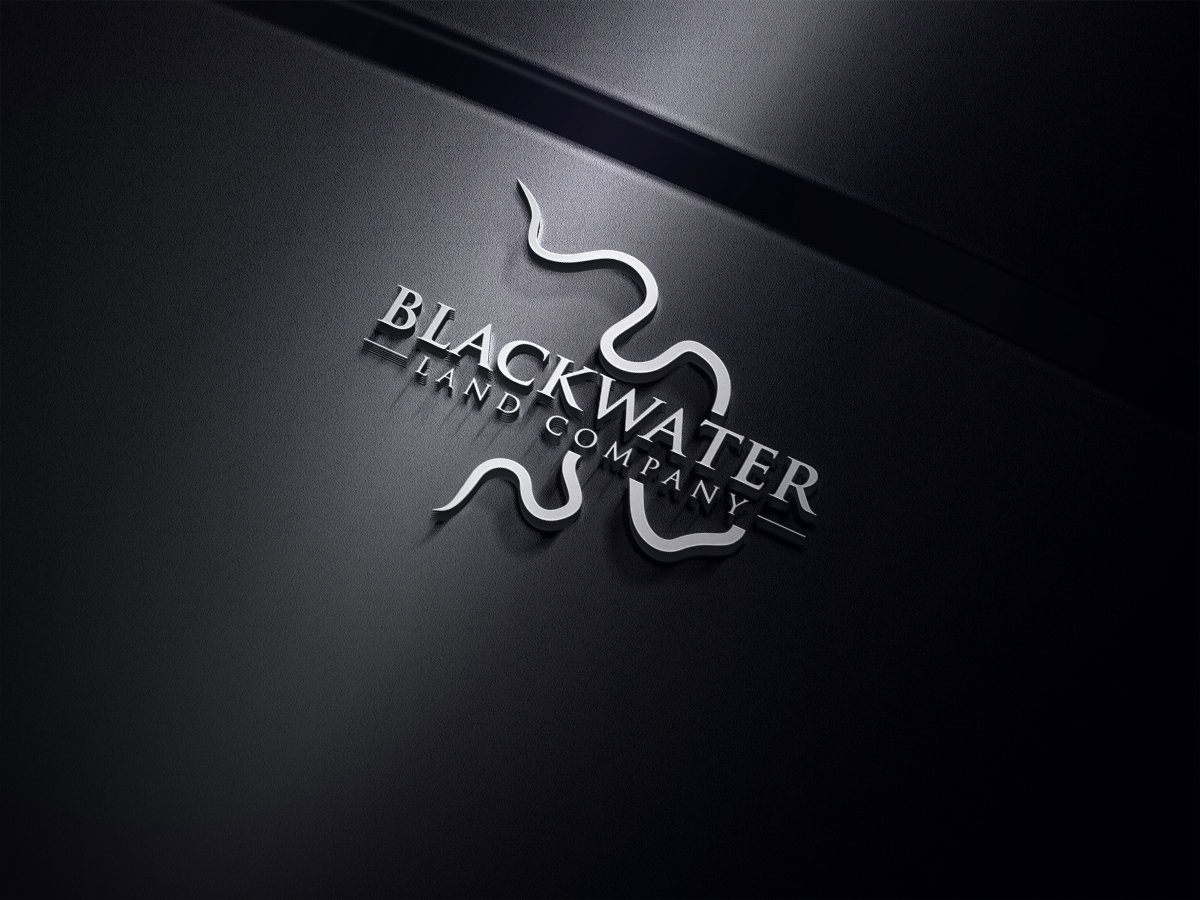 Logo Design by InkPilot_Studio™ for this project | Design #37691576