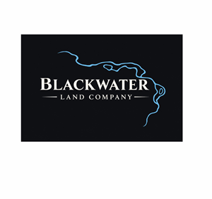 Logo Design by JS Desiger