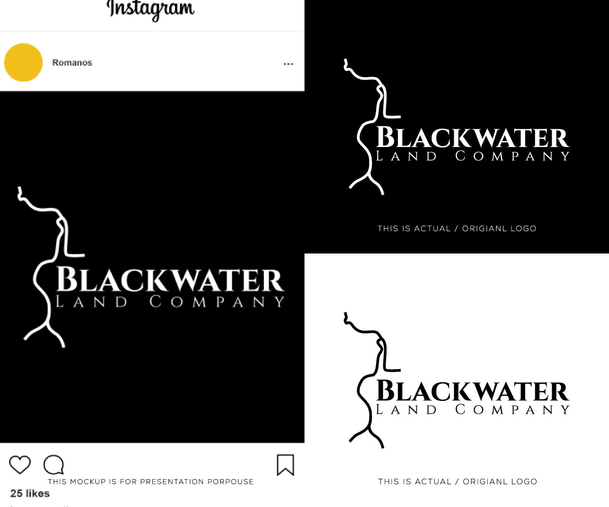 Logo Design by Ansh Design for this project | Design #37694318