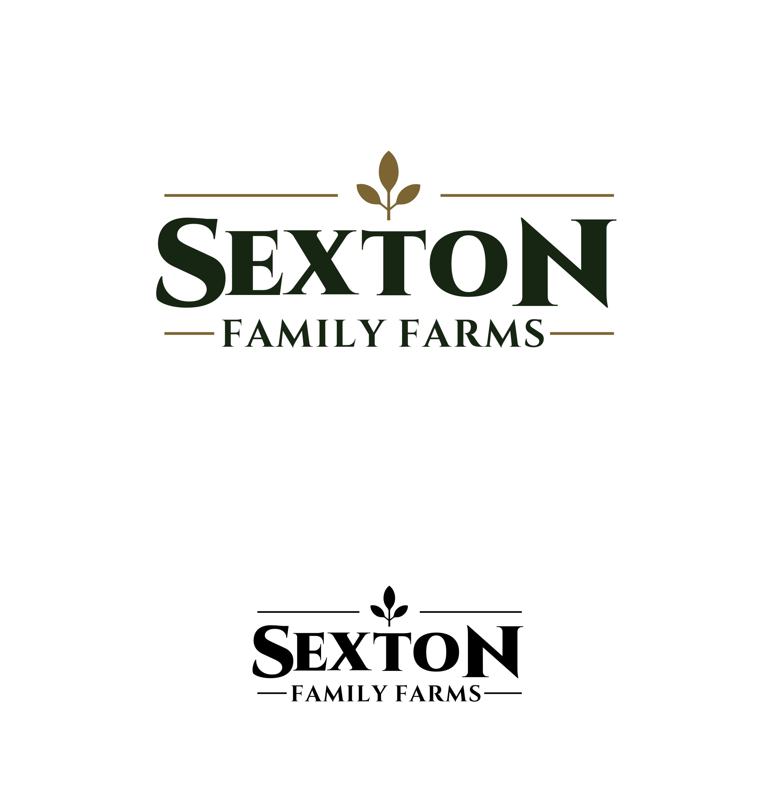 Logo Design by rgb01 for this project | Design #37697775