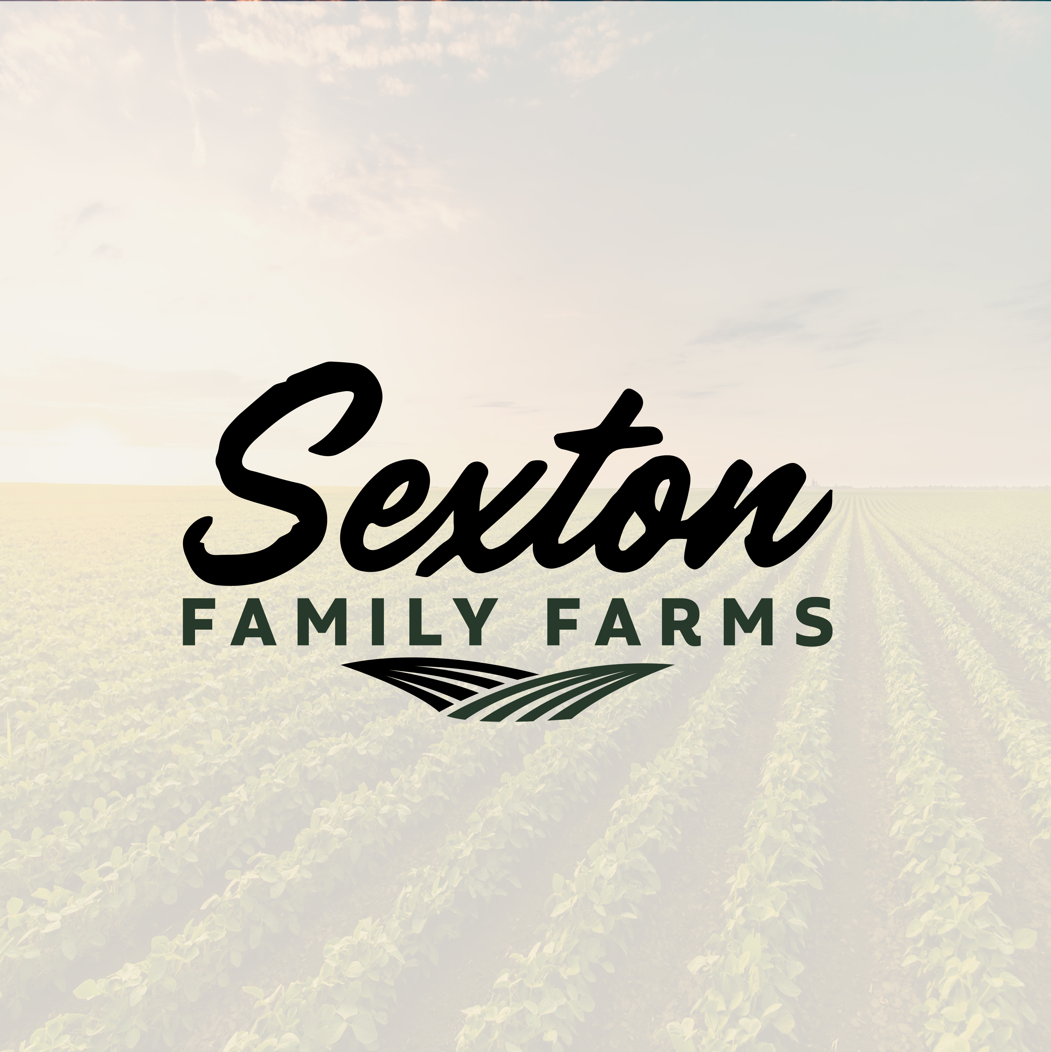 Logo Design by Designer Nayem for this project | Design #37702877