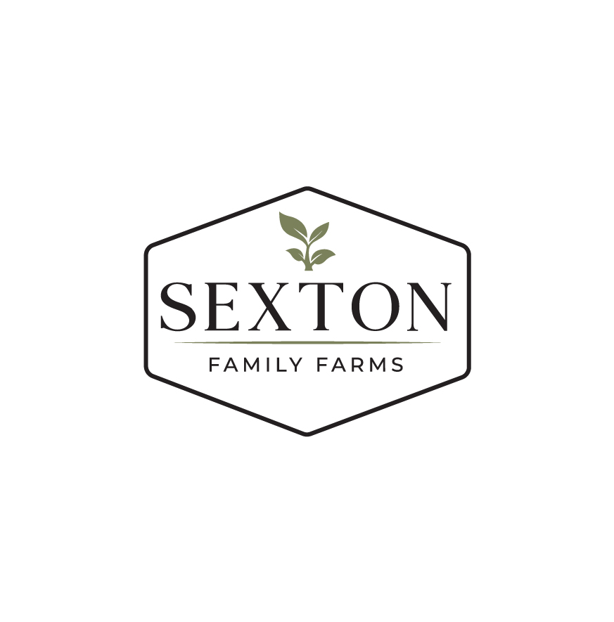 Logo Design by @Dh24 for this project | Design #37697168