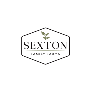 Logo Design by @Dh24 for this project | Design: #37697168