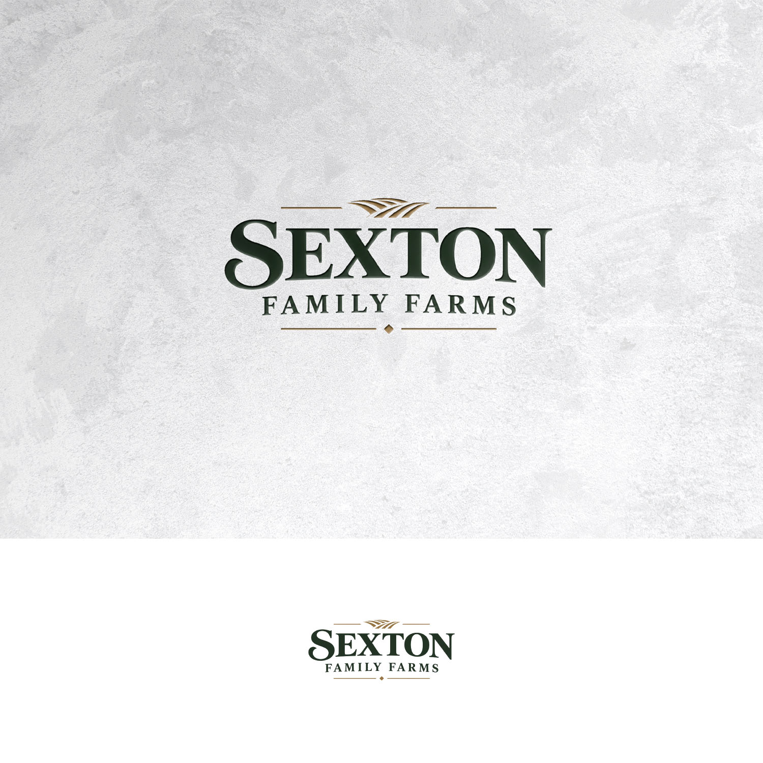 Logo Design by Sain G for this project | Design #37696564