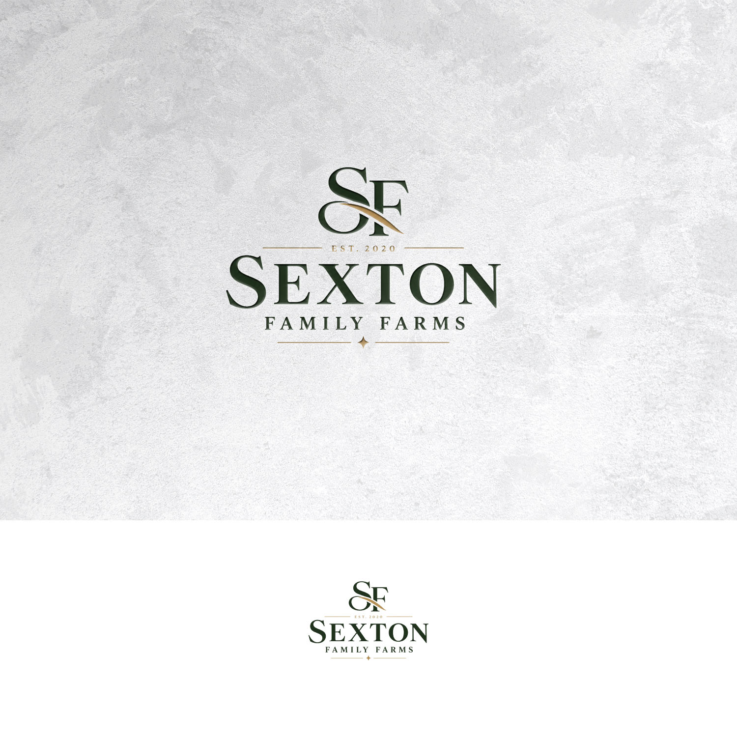 Logo Design by Sain G for this project | Design #37696567