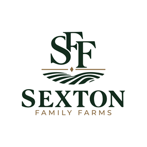 Logo Design by Md. Rahi