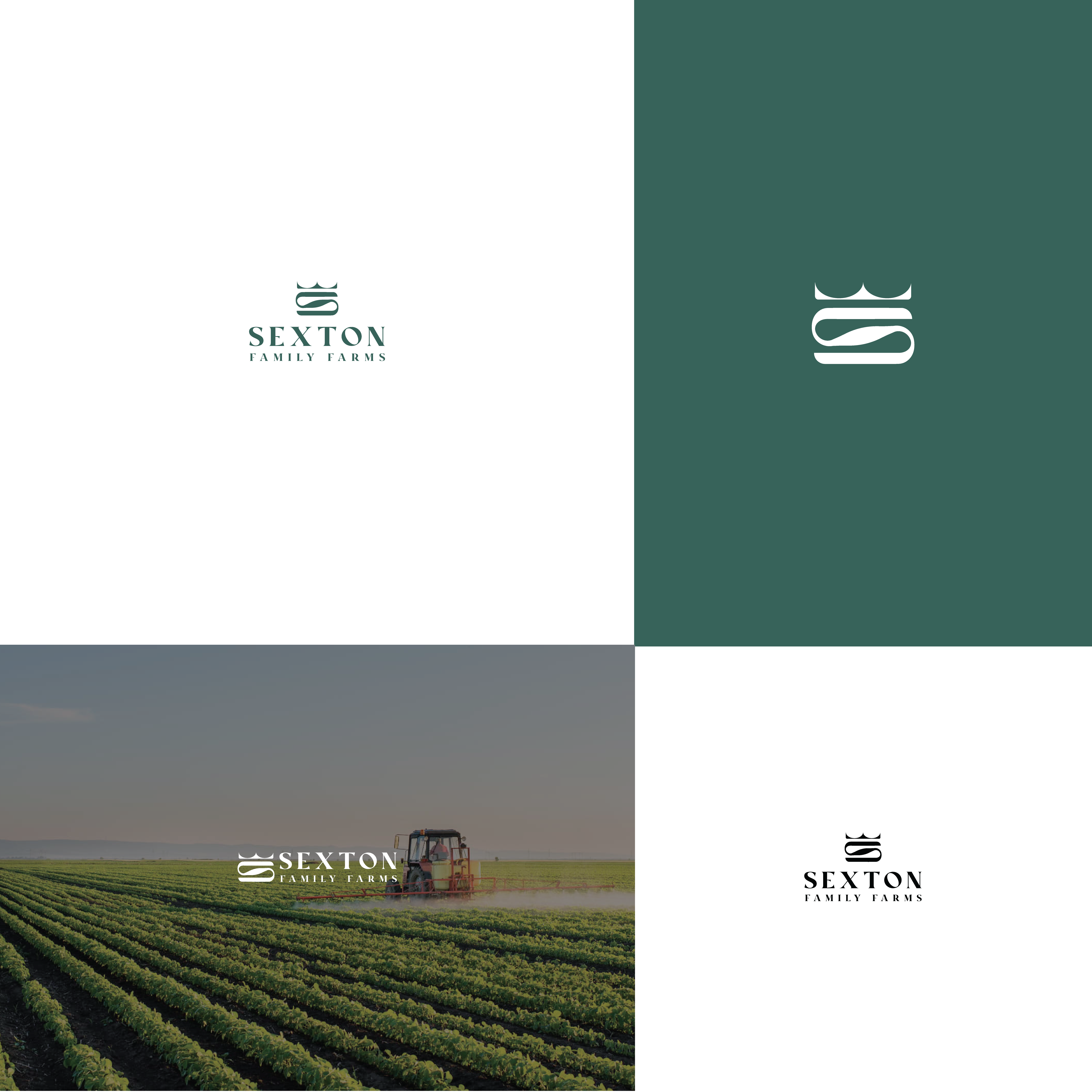 Logo Design by dumx for this project | Design #37699863