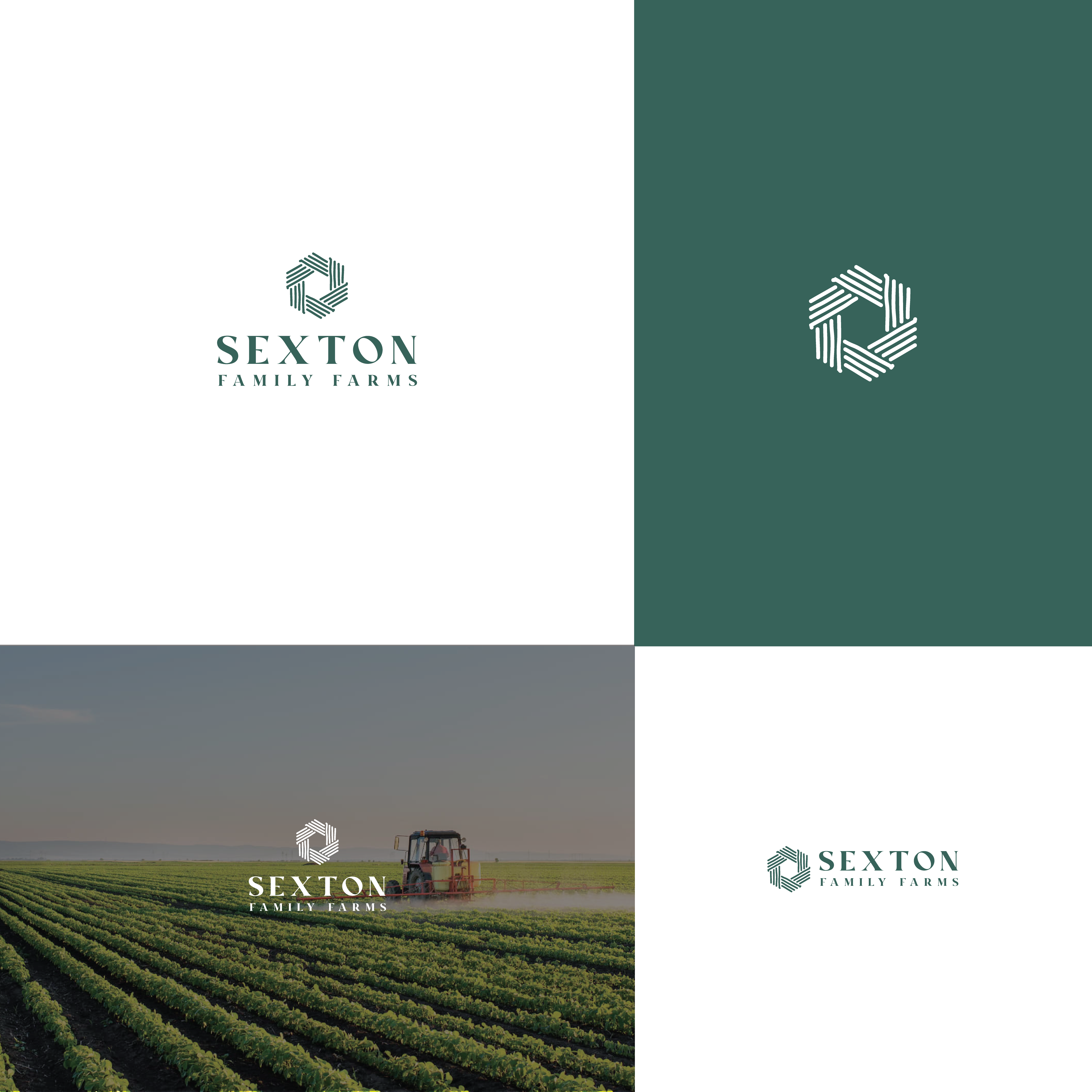 Logo Design by dumx for this project | Design #37700050
