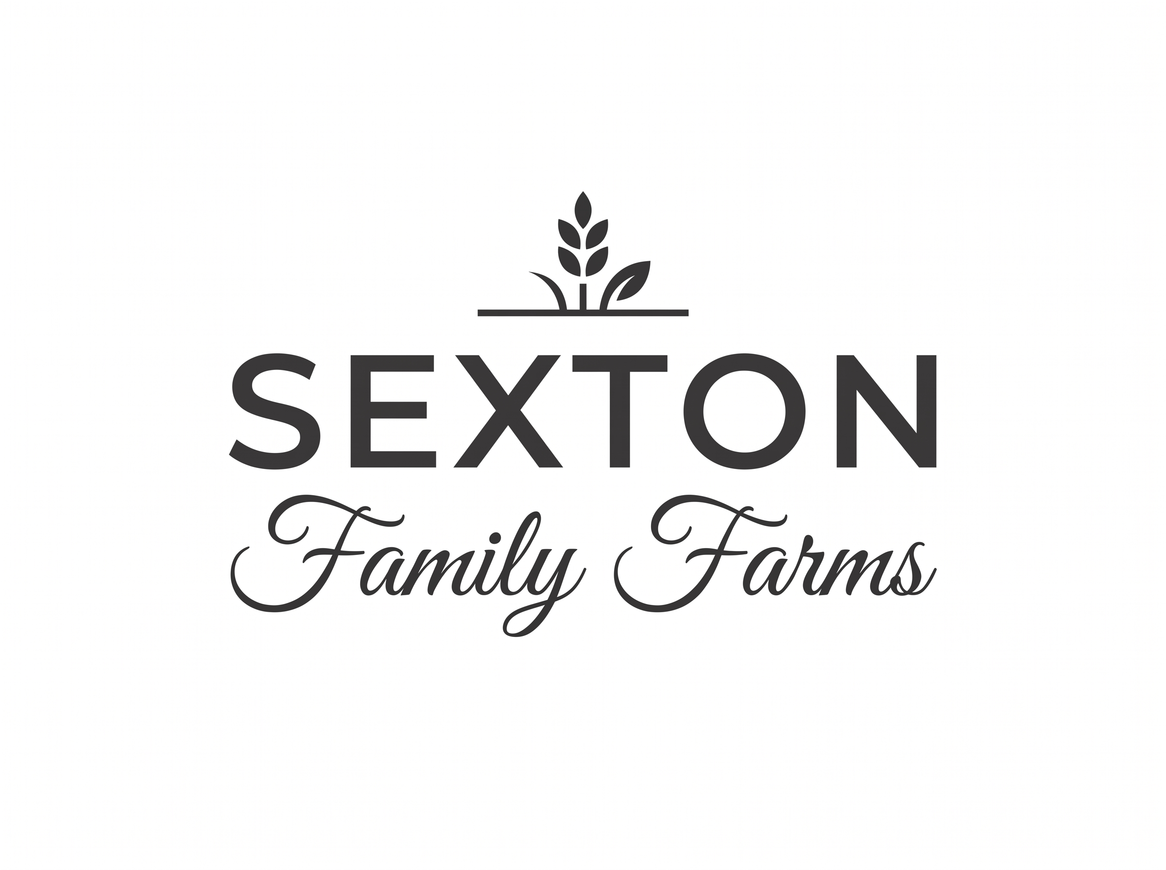 Logo Design by aneskayirt for this project | Design #37698101