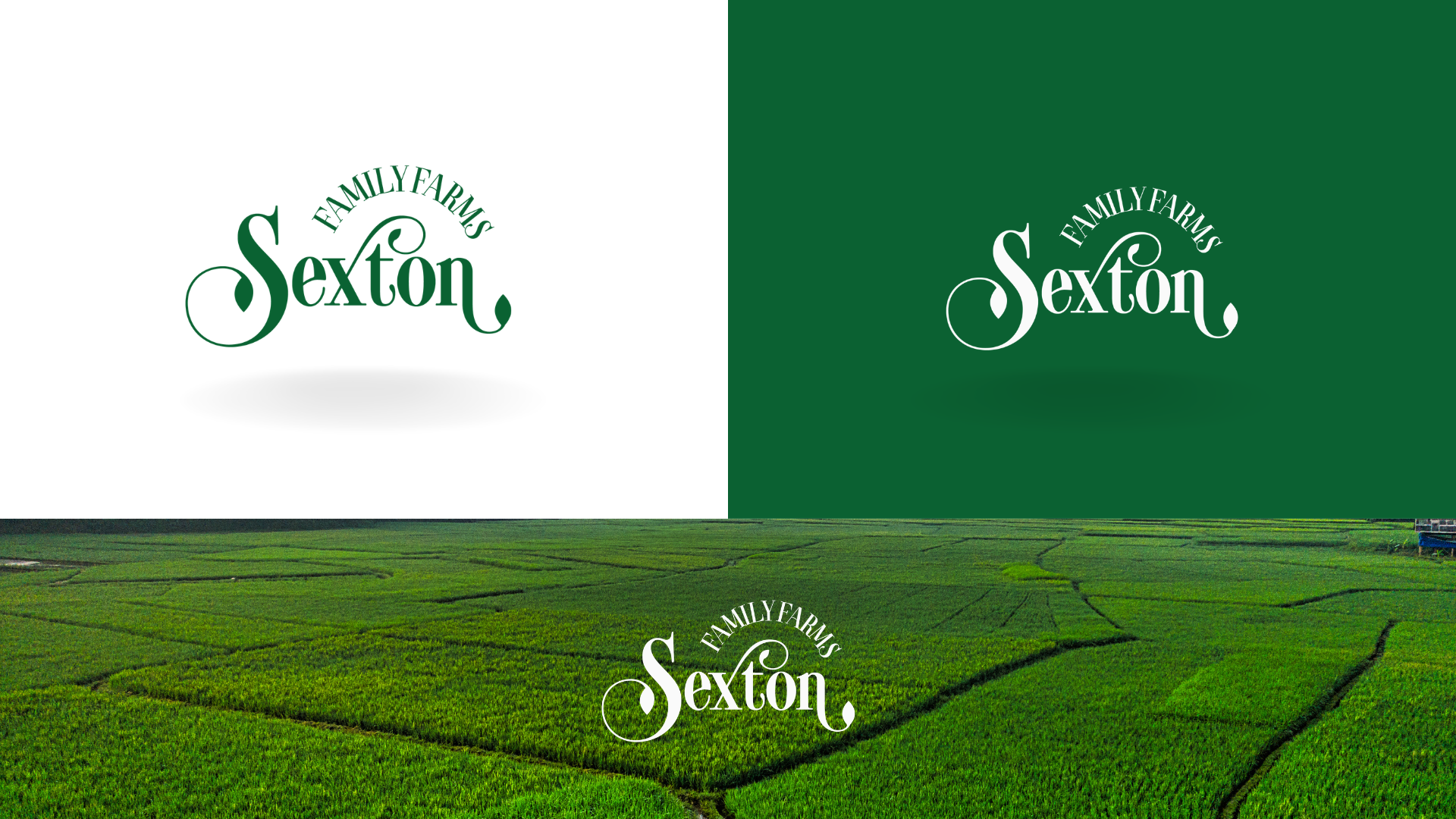Logo Design by UX Master for this project | Design #37698975