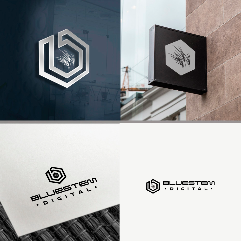 Logo Design by Roman Designs for this project | Design #37702667