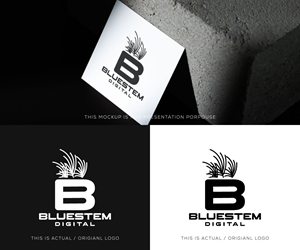 Logo Design by Ansh Design for this project | Design: #37704649